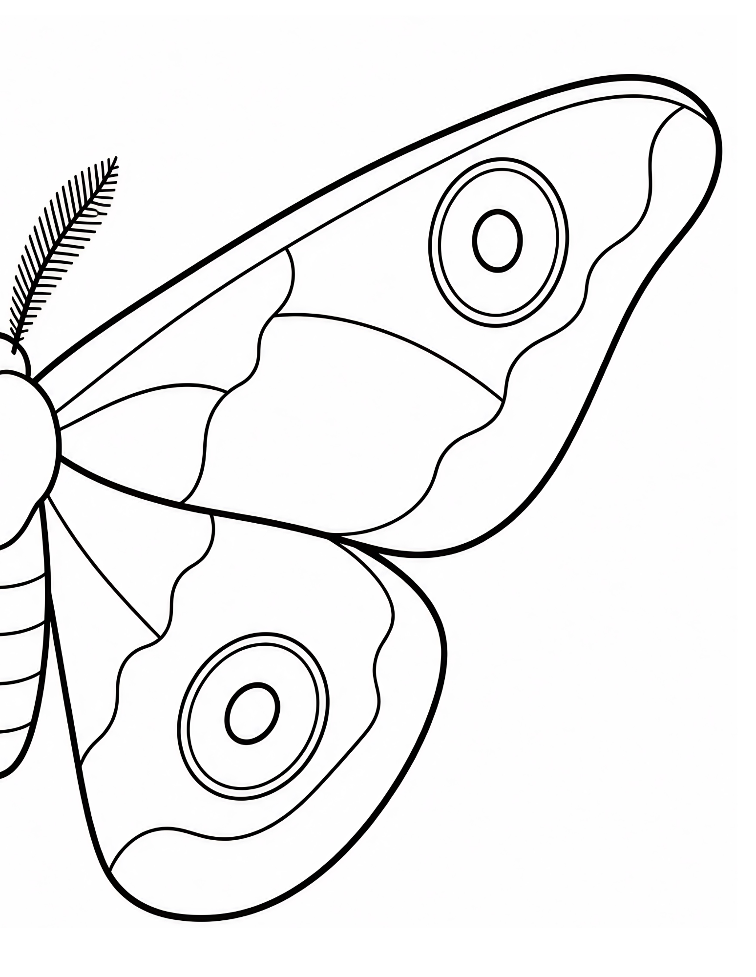 Close-up coloring page of a moth wing with two large eyespots and scalloped bands