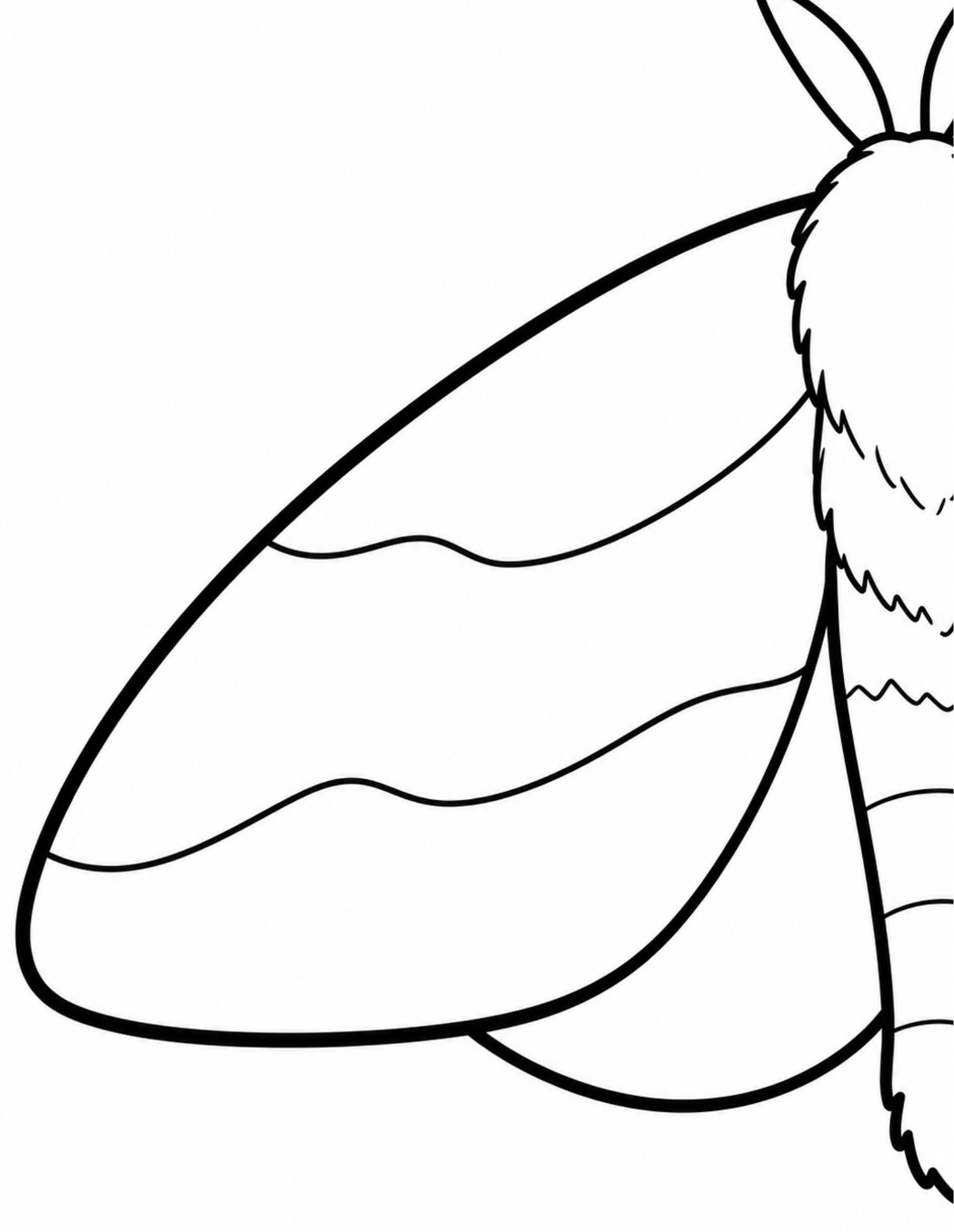 Close-up coloring page of a furry moth thorax and wavy wing bands